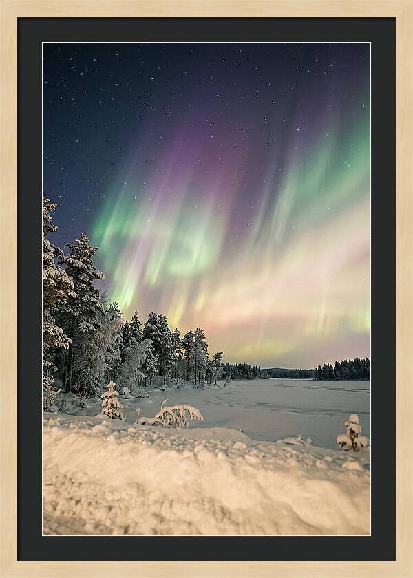 Auroras Over Finnish Landscape