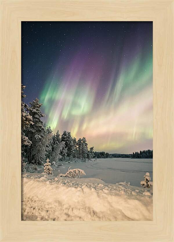 Auroras Over Finnish Landscape
