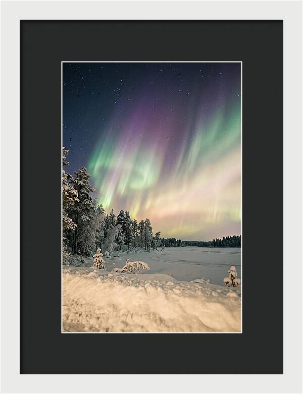 Auroras Over Finnish Landscape
