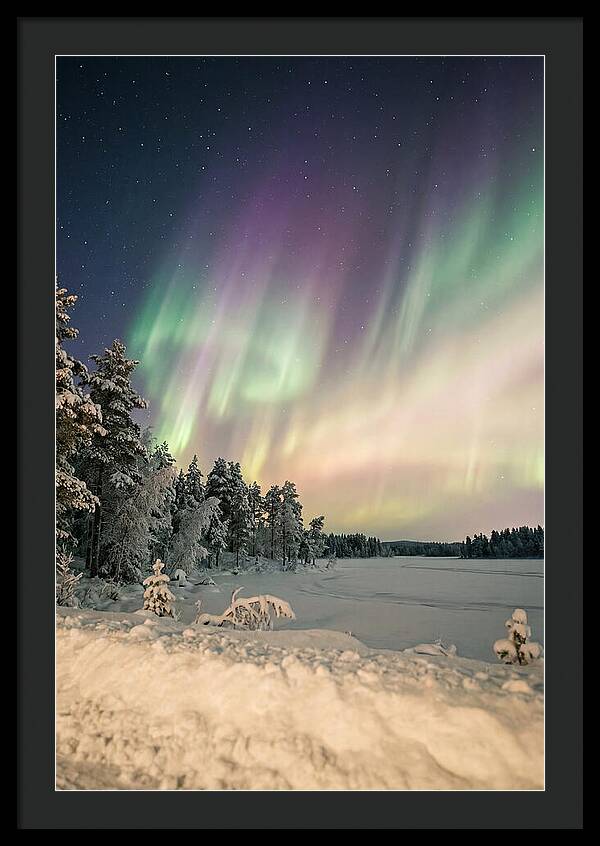 Auroras Over Finnish Landscape