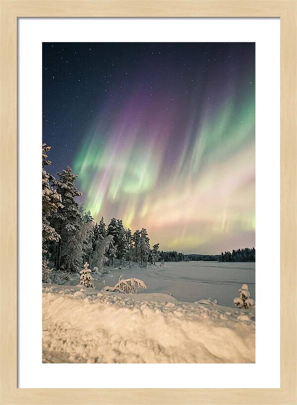 Auroras Over Finnish Landscape