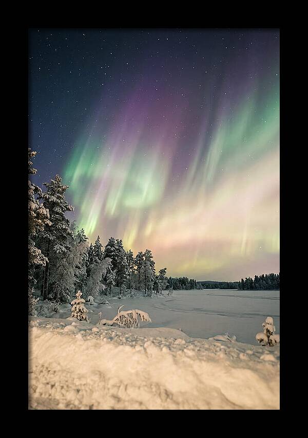Auroras Over Finnish Landscape