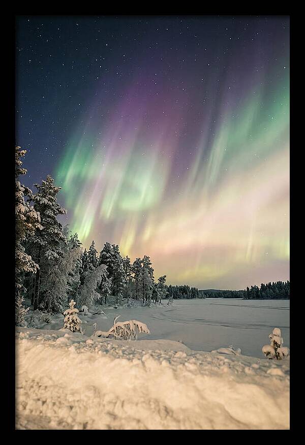 Auroras Over Finnish Landscape
