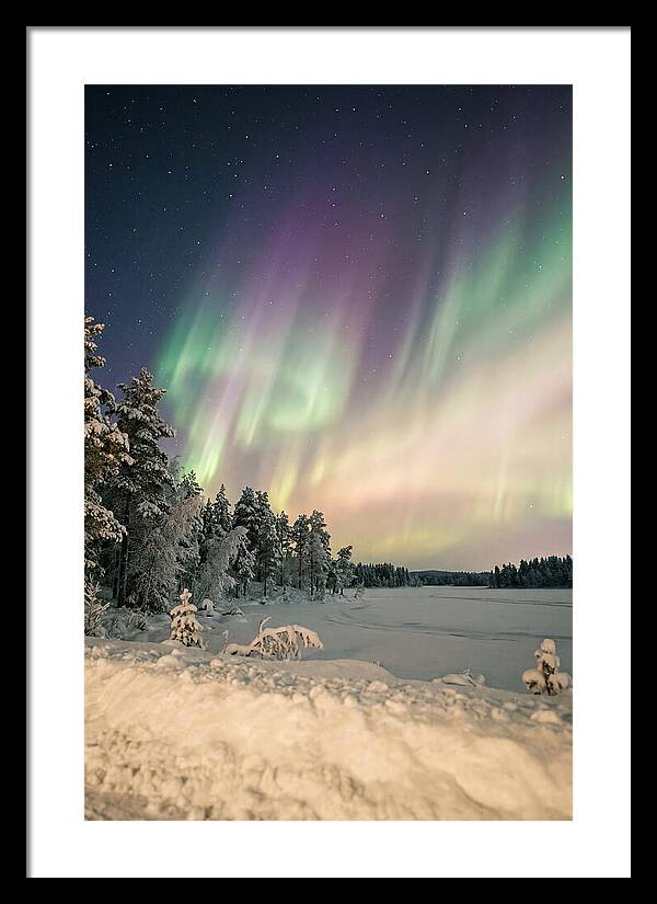 Auroras Over Finnish Landscape
