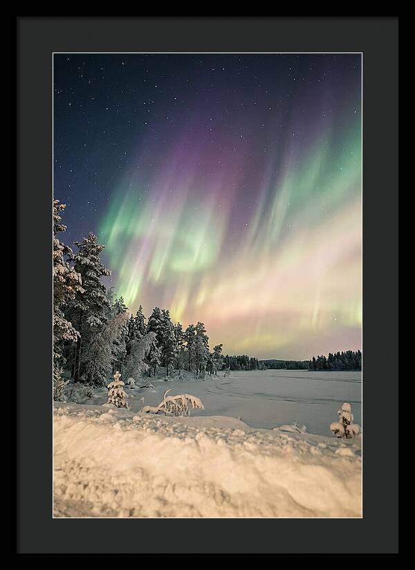 Auroras Over Finnish Landscape
