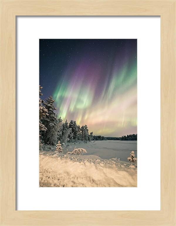 Auroras Over Finnish Landscape