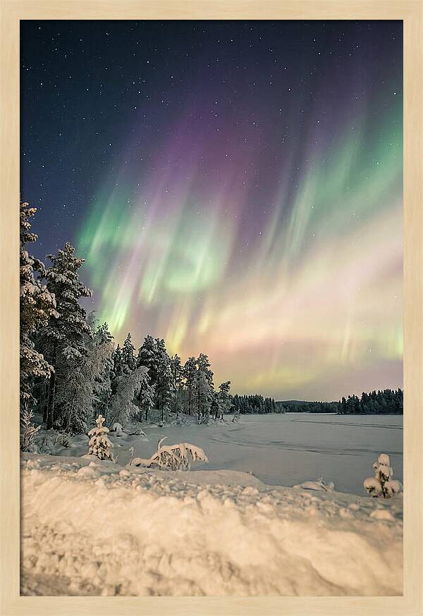 Auroras Over Finnish Landscape
