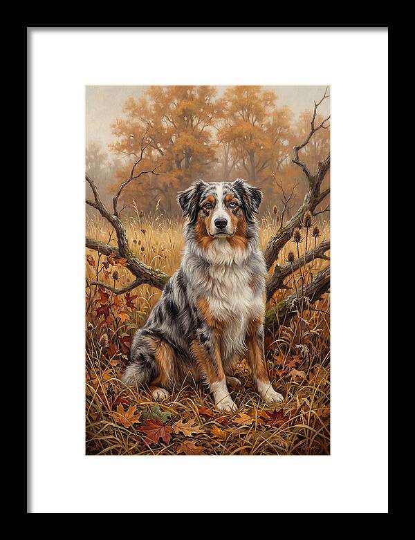 Australian Shepherd In Autumn Splendor