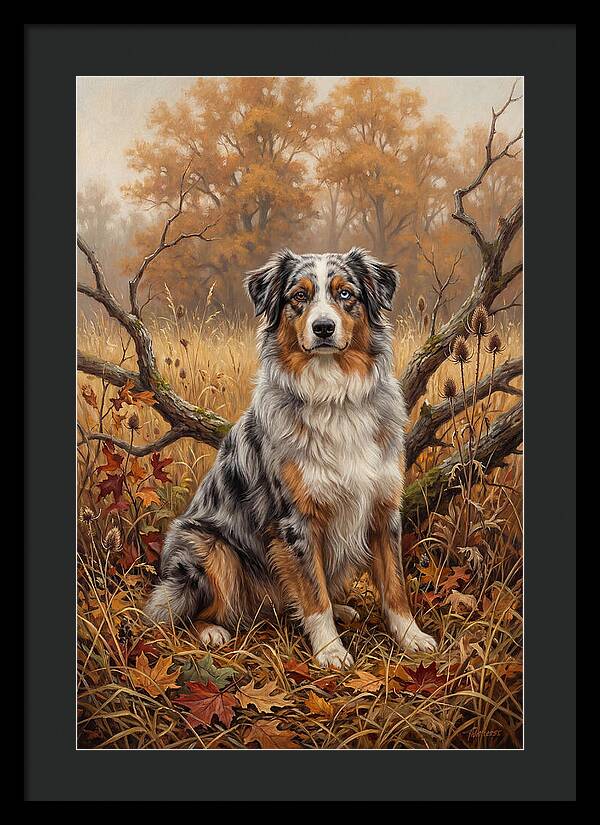 Australian Shepherd In Autumn Splendor
