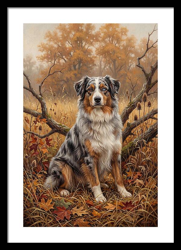 Australian Shepherd In Autumn Splendor