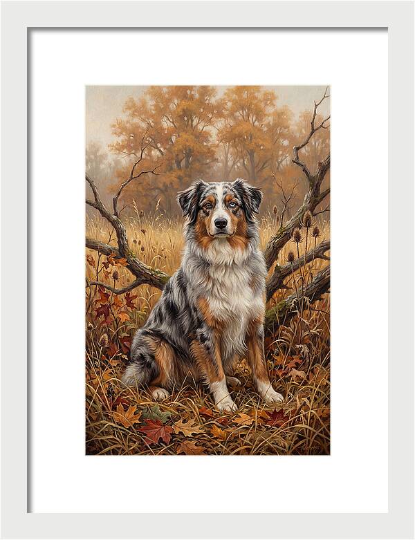 Australian Shepherd In Autumn Splendor