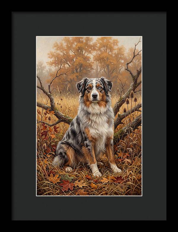 Australian Shepherd In Autumn Splendor