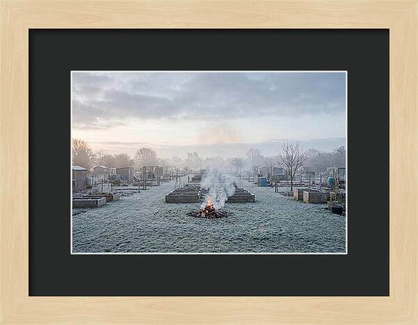 Autumn Bonfire Smoke Rising