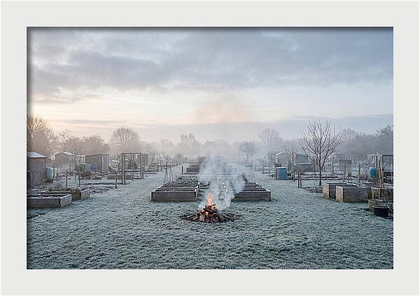 Autumn Bonfire Smoke Rising