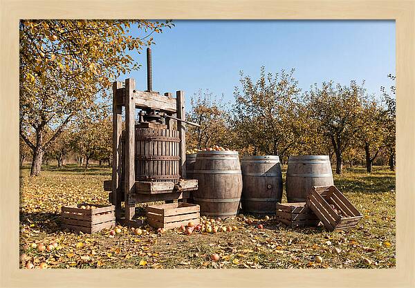 Autumn Cider Pressing Scene