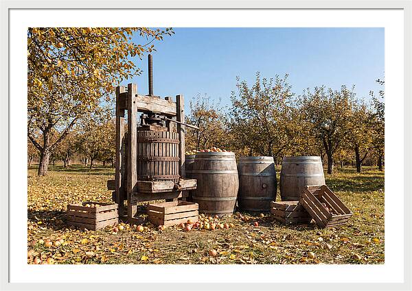Autumn Cider Pressing Scene