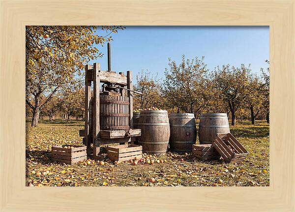 Autumn Cider Pressing Scene