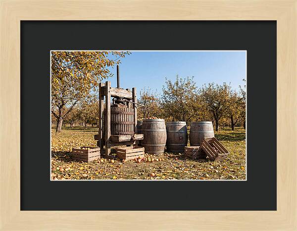 Autumn Cider Pressing Scene
