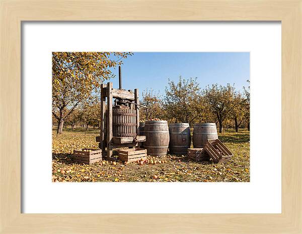 Autumn Cider Pressing Scene
