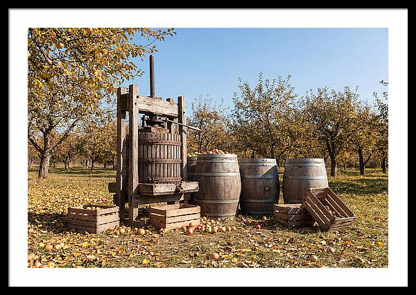 Autumn Cider Pressing Scene