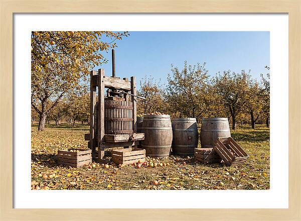 Autumn Cider Pressing Scene