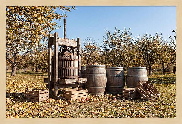 Autumn Cider Pressing Scene