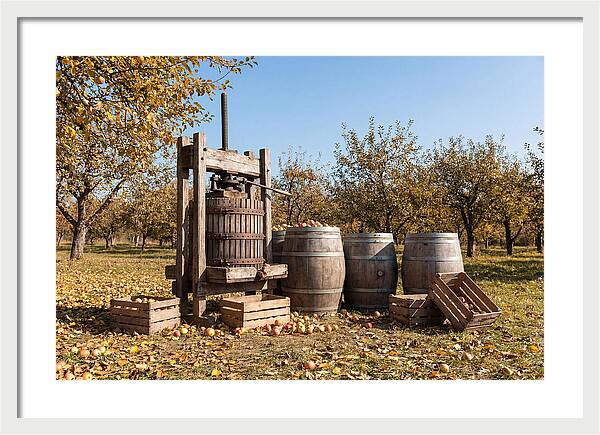 Autumn Cider Pressing Scene