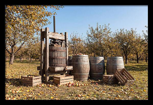 Autumn Cider Pressing Scene