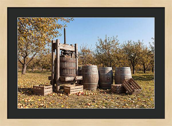 Autumn Cider Pressing Scene