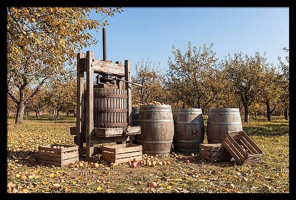 Autumn Cider Pressing Scene