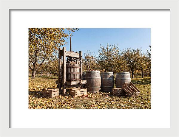 Autumn Cider Pressing Scene