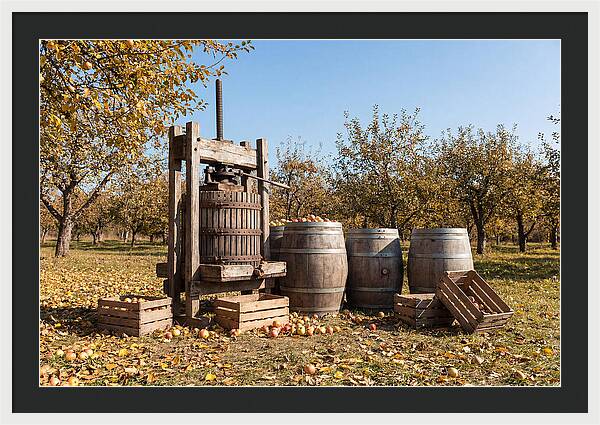 Autumn Cider Pressing Scene