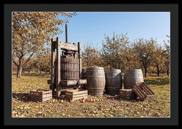 Autumn Cider Pressing Scene