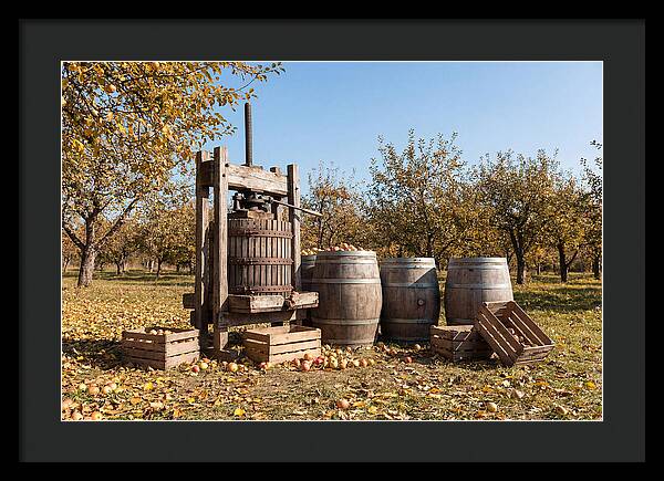 Autumn Cider Pressing Scene