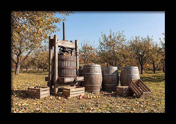 Autumn Cider Pressing Scene