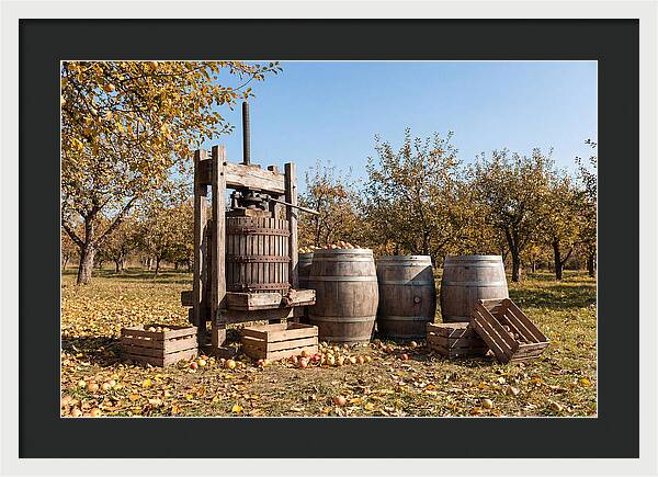 Autumn Cider Pressing Scene