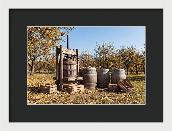 Autumn Cider Pressing Scene