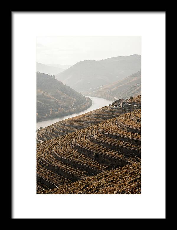 Autumn Colors Of Douro Valley