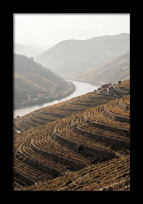 Autumn Colors Of Douro Valley