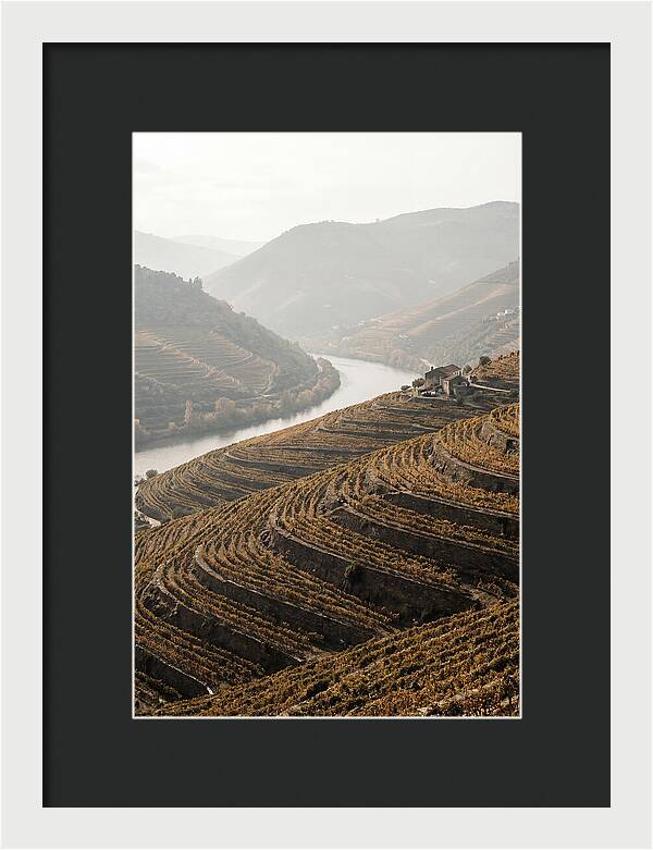 Autumn Colors Of Douro Valley