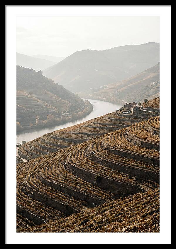 Autumn Colors Of Douro Valley