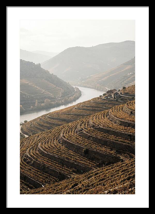 Autumn Colors Of Douro Valley