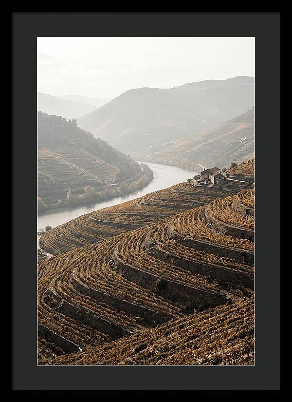 Autumn Colors Of Douro Valley