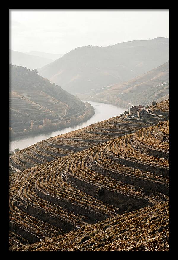 Autumn Colors Of Douro Valley
