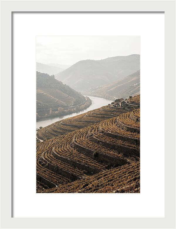 Autumn Colors Of Douro Valley