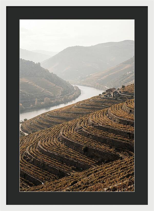 Autumn Colors Of Douro Valley