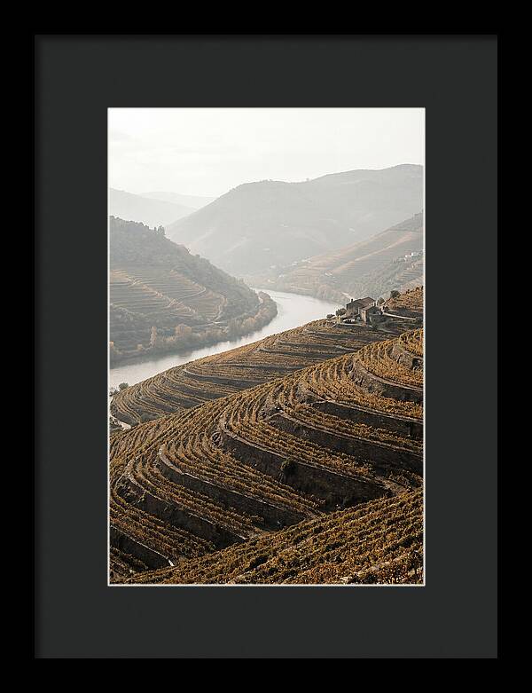Autumn Colors Of Douro Valley