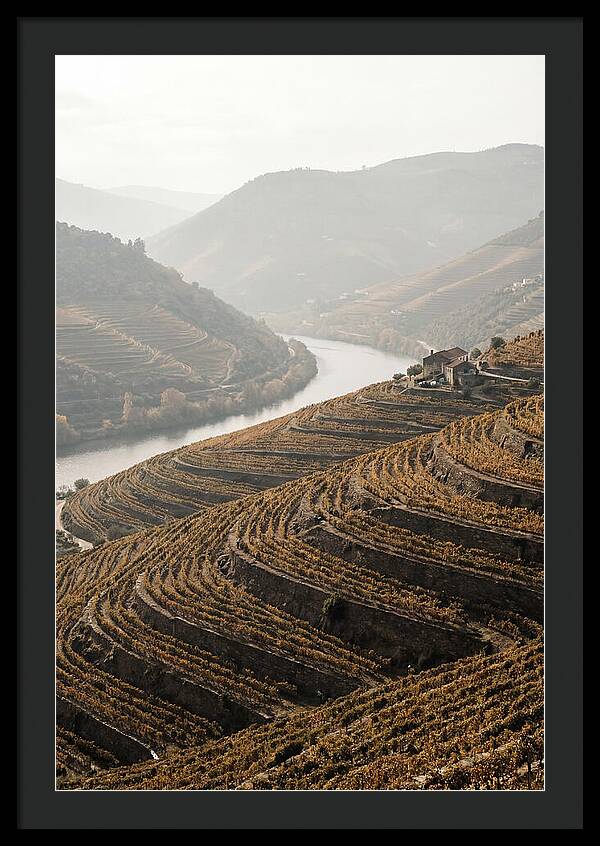 Autumn Colors Of Douro Valley
