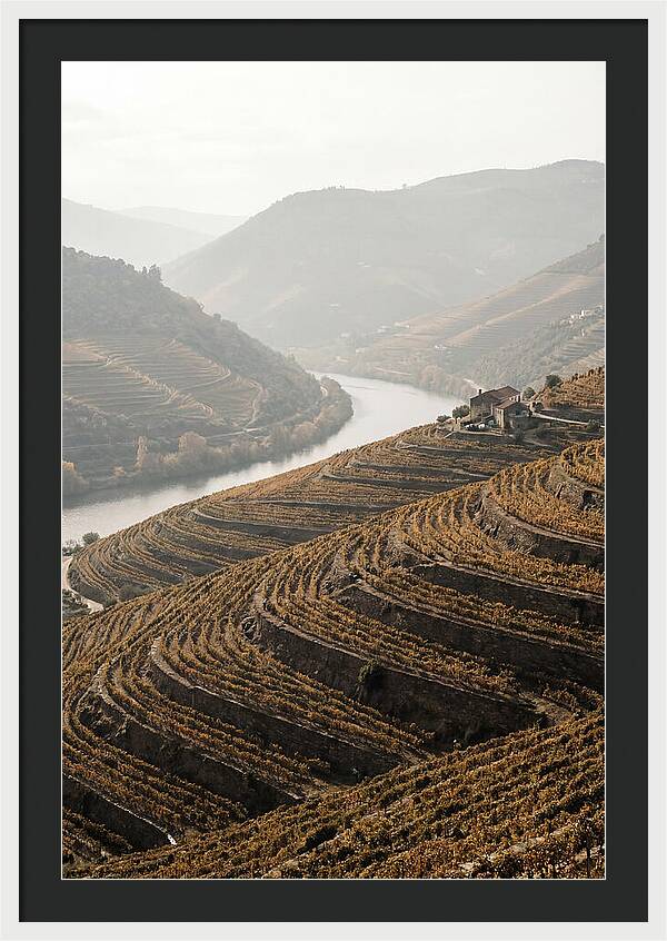 Autumn Colors Of Douro Valley