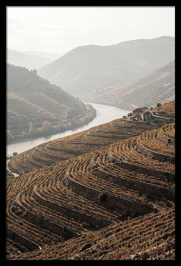 Autumn Colors Of Douro Valley